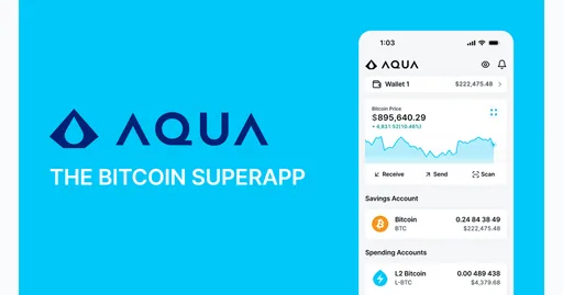 AQUA Prepaid Dolphin Card USD card