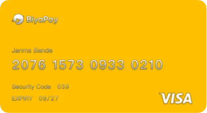 BiyaPay EasyCard USD card