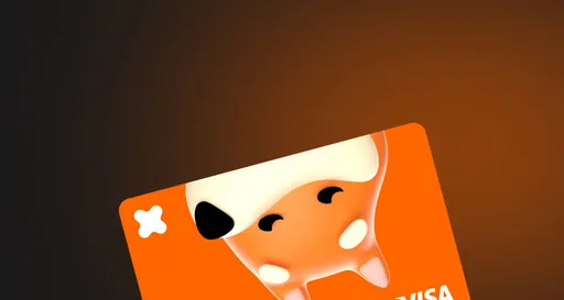 BonkX Visa Infinite Visa USD card