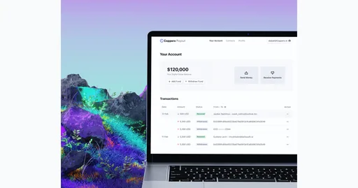 Copperx Business Visa Stablecoin Account Visa USD card