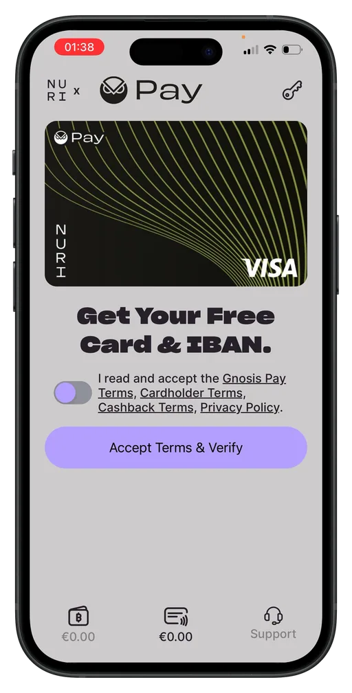 Nuri Visa Visa EUR card