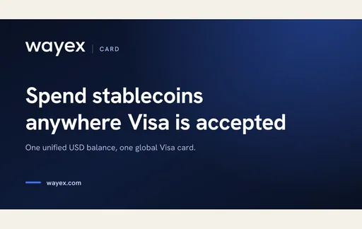 Wayex Stablecoin Visa Card Visa USD card