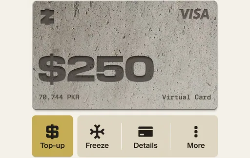 ZAR Virtual Visa Visa USD card