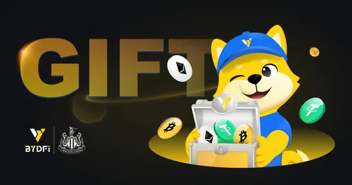 BYDFi Visa USD card