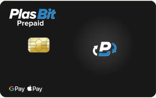 PlasBit USD card